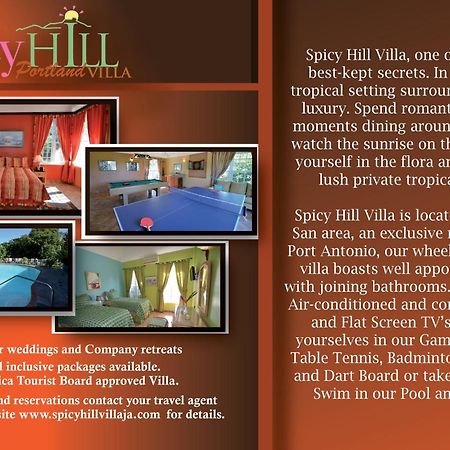 Spicy Hill Villa Port Antonio Oda fotoğraf